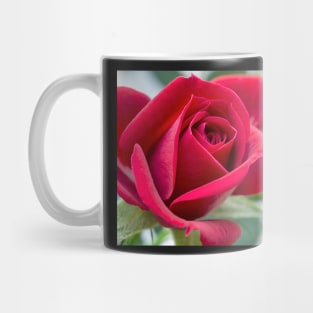 Mini Red Rose Mug